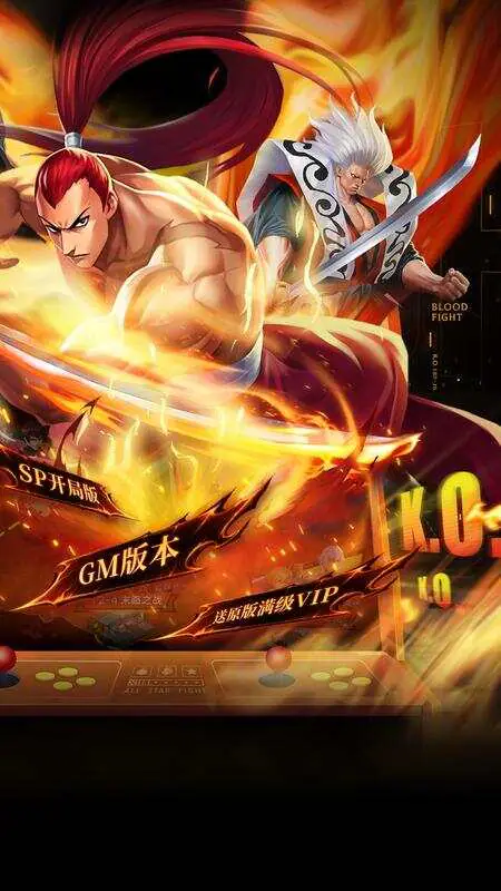 拳魂觉醒(权限满星SP)游戏截图2